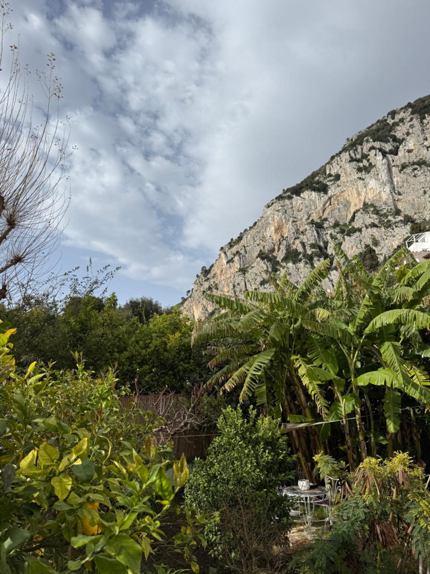 Villa Striano Boutique Capri Exterior foto