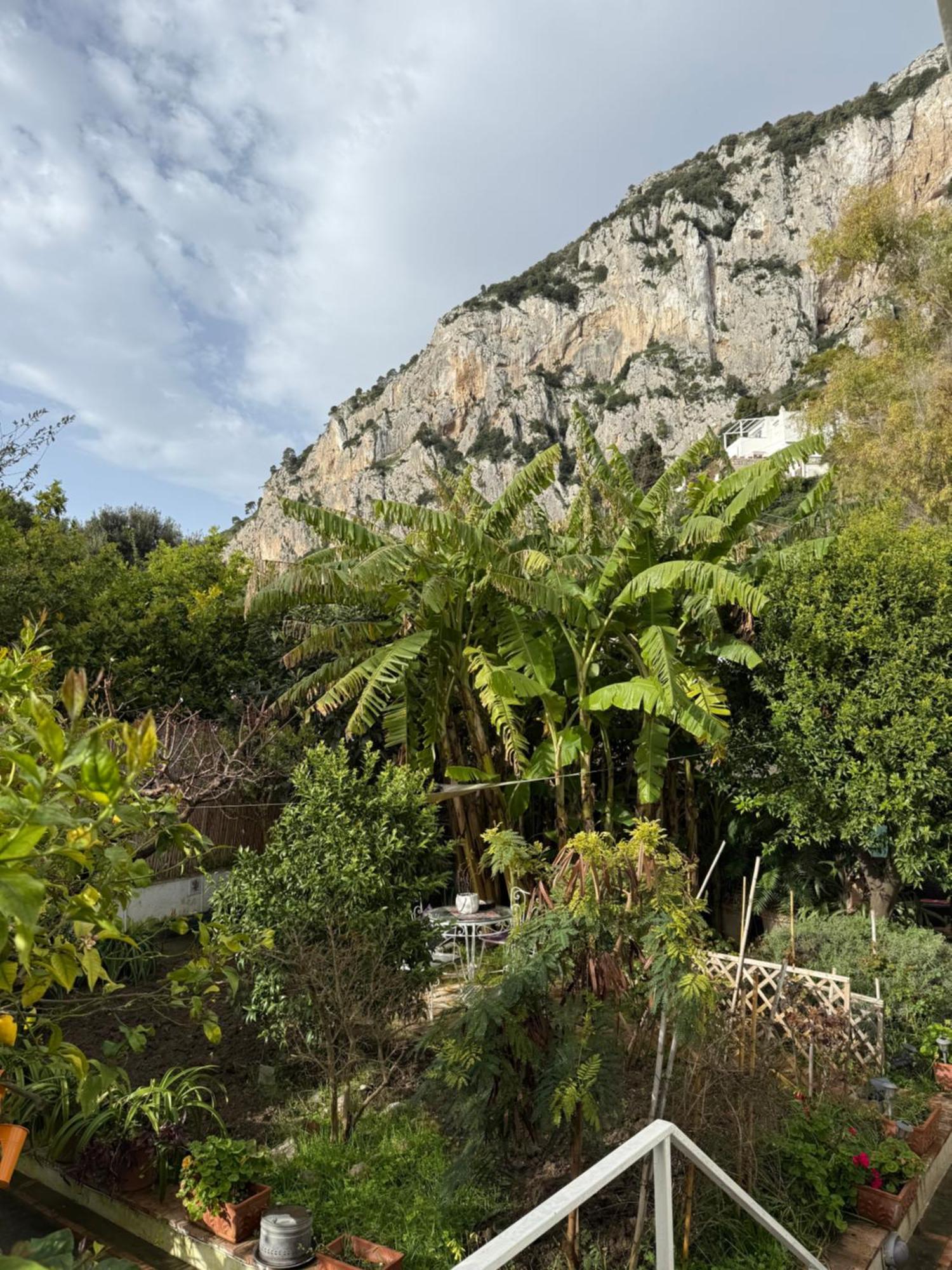 Villa Striano Boutique Capri Exterior foto
