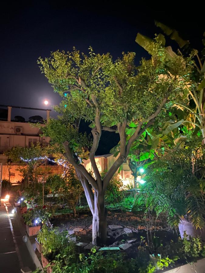 Villa Striano Boutique Capri Exterior foto